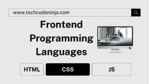Frontend programming language