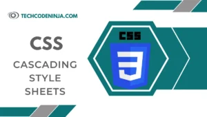 Understanding css basics