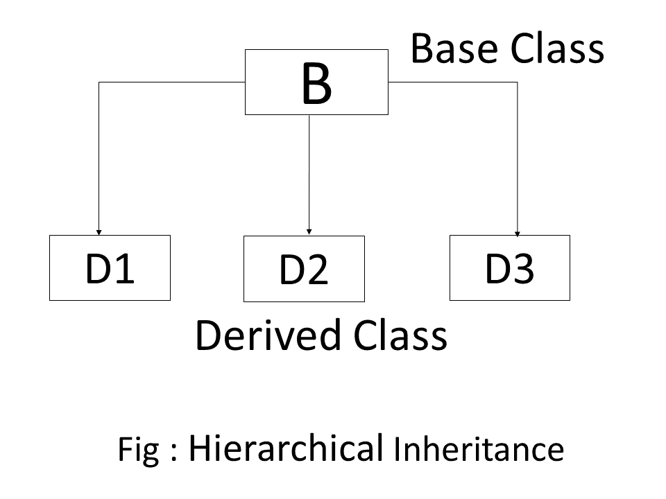 Hierarchical Inheritance