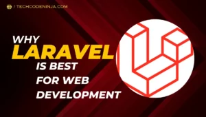 Laravel for web development